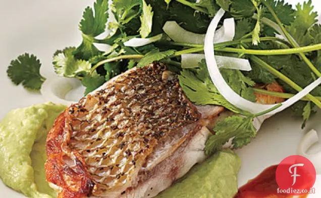 Spigola a righe con insalata di coriandolo-Cipolla