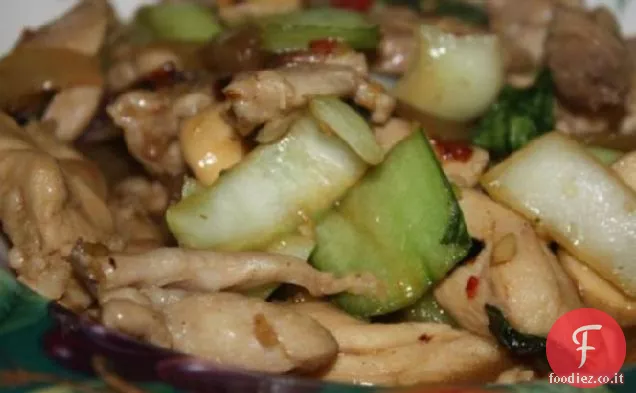 Pollo allo zenzero e sesamo con Bok Choy, cipolla e funghi