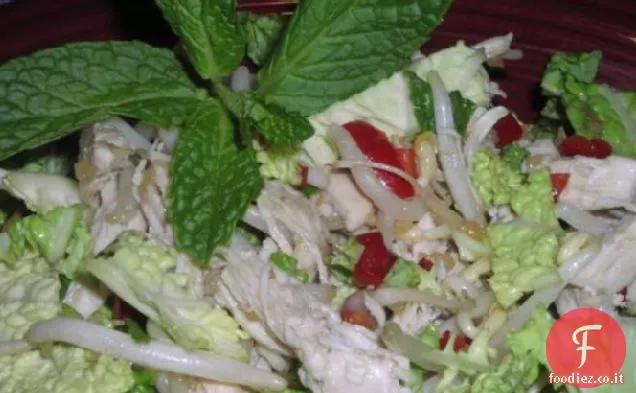 Quick ' n facile insalata di pollo vietnamita