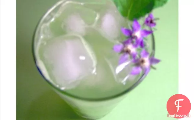 Gelatina di cetriolo di borragine con zenzero