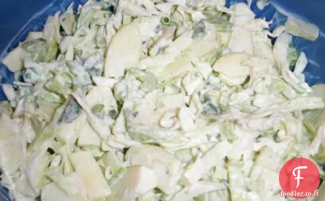 Insalata 