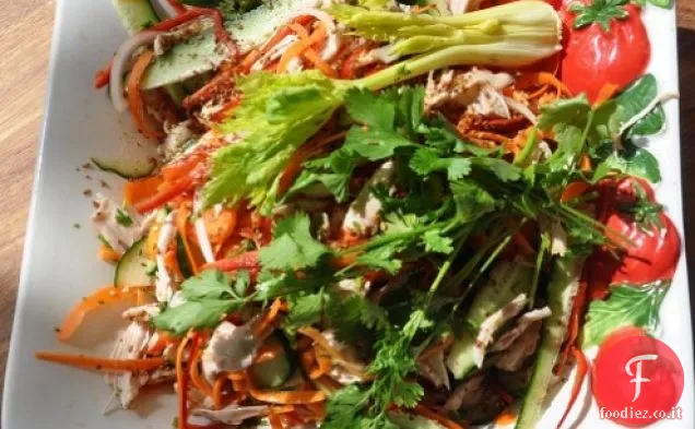 Impressionante insalata di pollo vietnamita