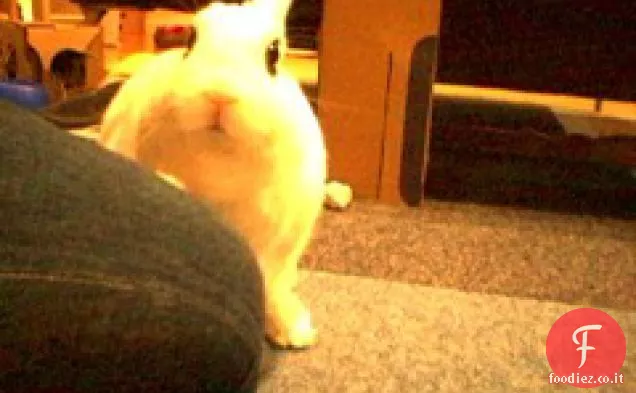 Pennsylvania olandese in salamoia uova sode e barbabietole rosse