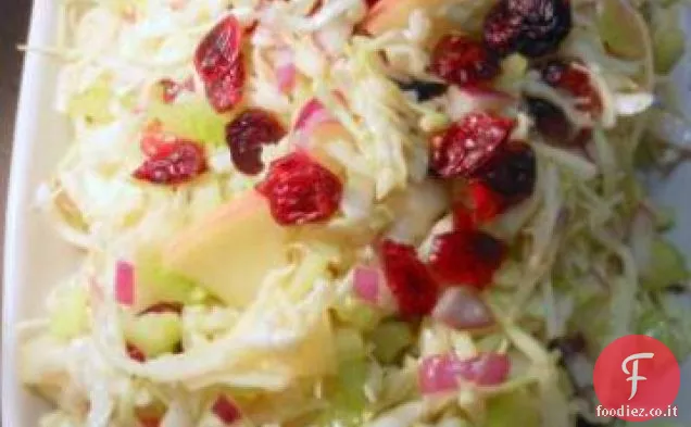 Insalata di cavolo con mele e mirtilli secchi
