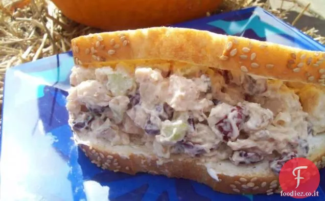 Insalata di pollo Craisins pazzo