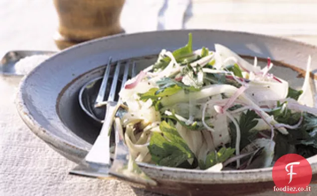 Insalata di finocchio, cipolla rossa e prezzemolo