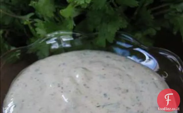 Salsa di crema di coriandolo di Amy