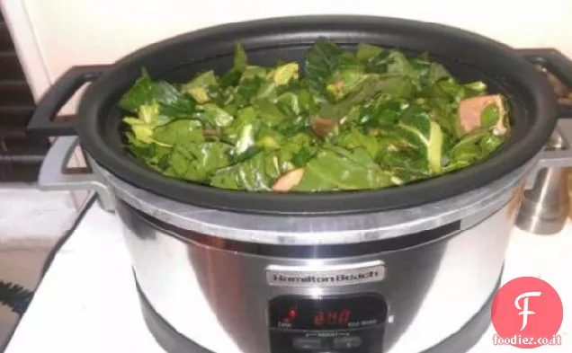 Veri verdi del cavolo nero del sud