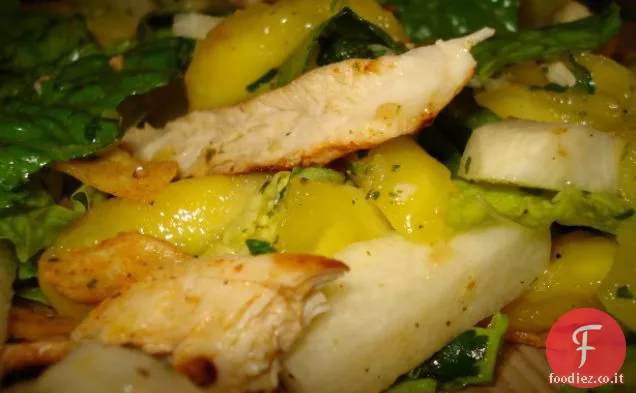 Insalata di pollo, mango e Jicama con tequila-Vinaigrette al lime