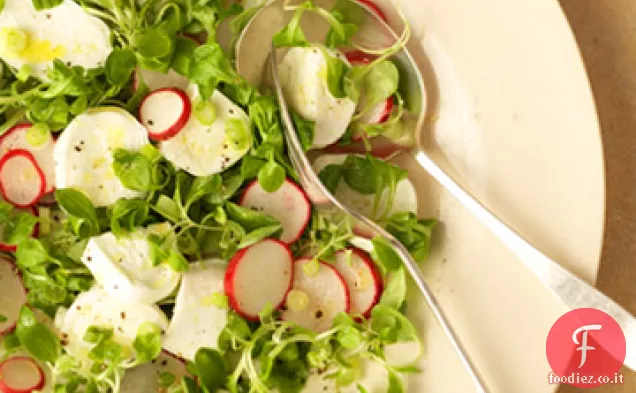 Insalata di primavera con Mozzarella fresca