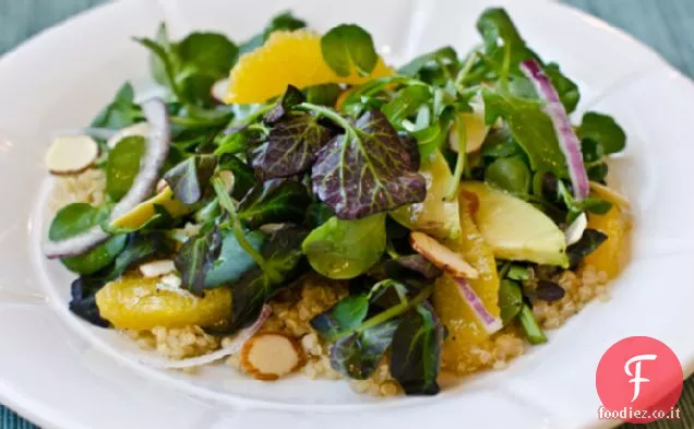 Insalata di quinoa con crescione, arance, avocado e mandorle, con vinaigrette di agrumi