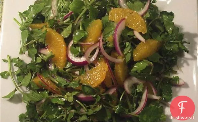 Insalata di crescione, arancia e cipolla rossa