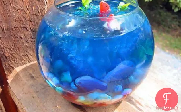 Ciotola di pesce Jello!