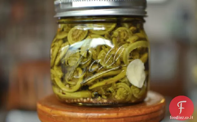 Felci marinate di Fiddlehead