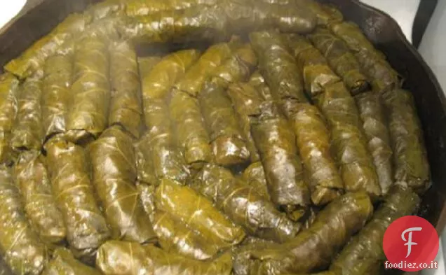 Dolmades-Foglie di vite ripiene