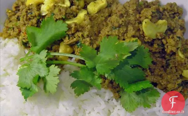 Curry di carne di agnello (una specie di Kheema Shahzada)