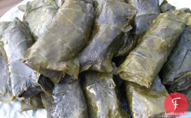 Dolmathes di Elaine (foglie di vite ripiene)