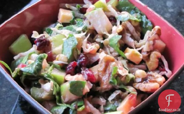 Insalata di mele con vinaigrette di mirtilli rossi