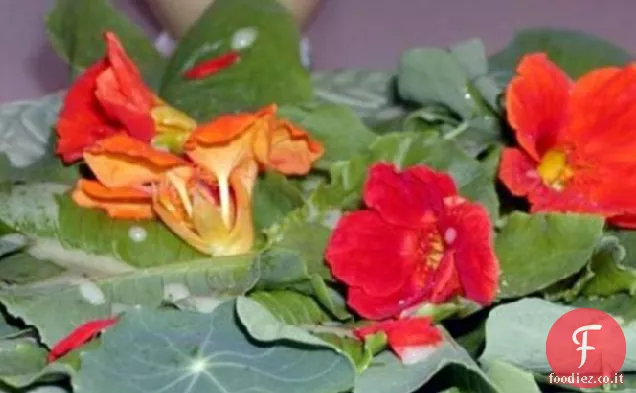 Insalata di fiori estivi