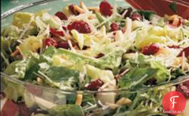 Insalata di bacche allegre