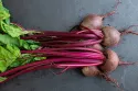 Come cucinare la barbabietola