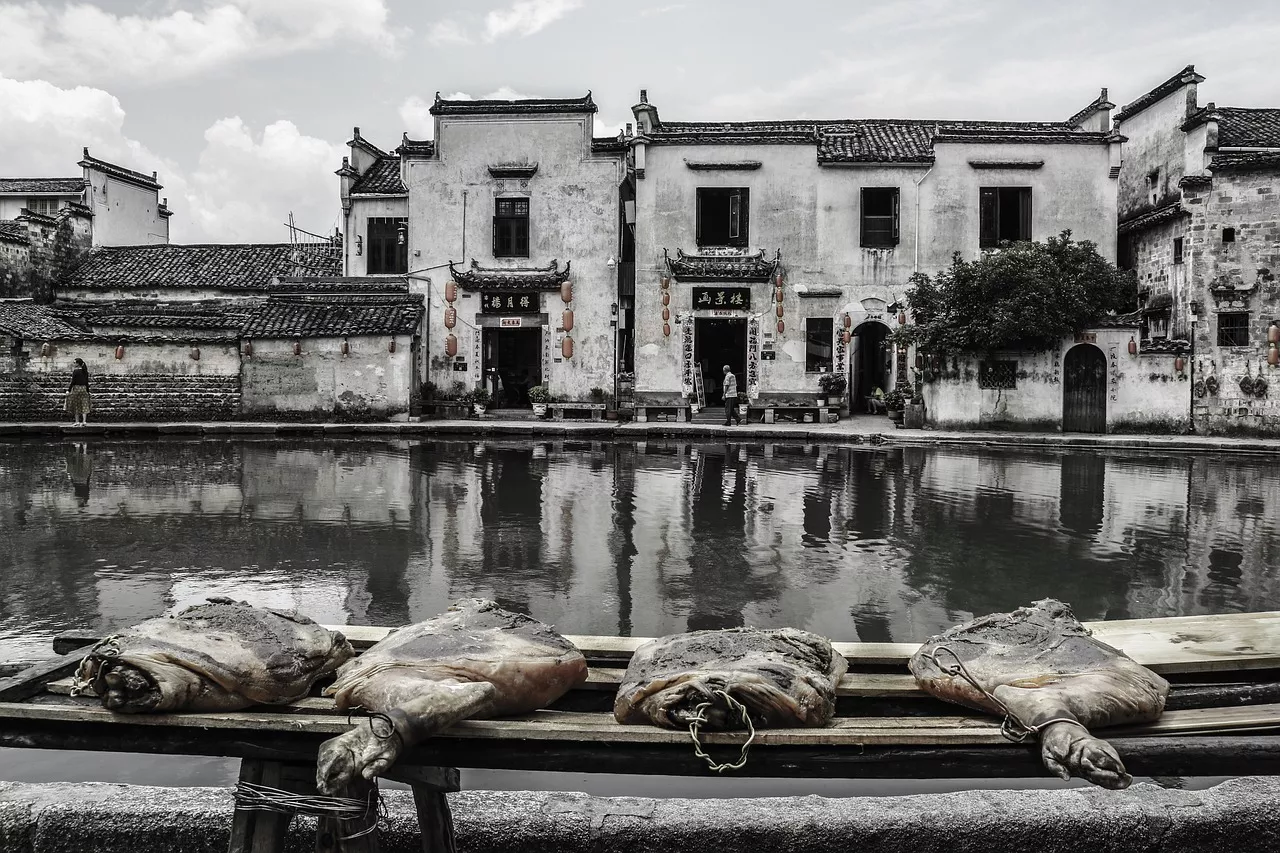 Dai cereali antichi alle prelibatezze moderne: svelare l'affascinante storia del cibo