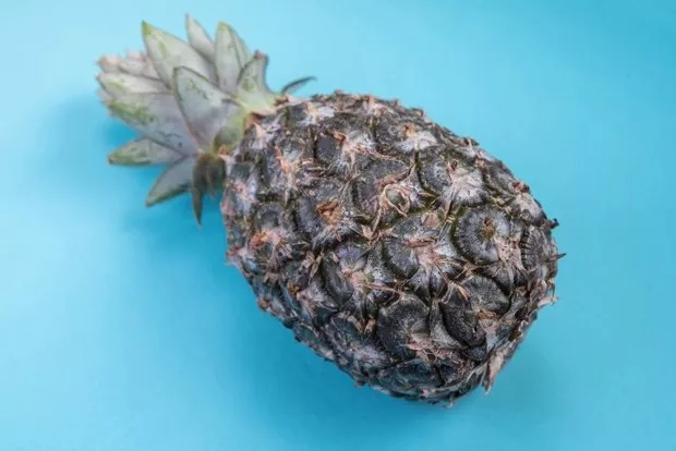 Dessert tropicale all'ananas