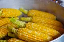 Ricette pannocchie di mais: idee facili e deliziose per la tua prossima grigliata
