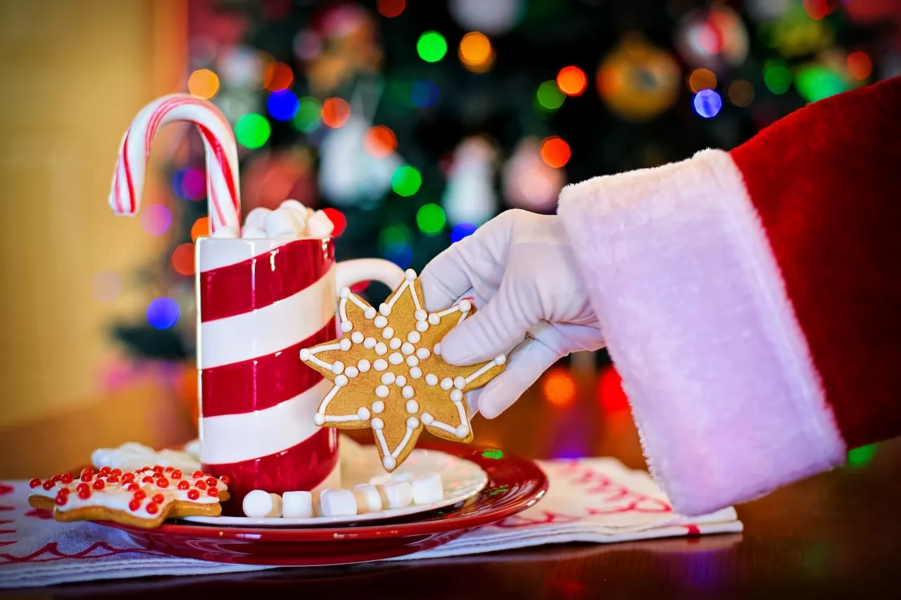 Ricette di Natale deliziose e festive da provare nel 2023